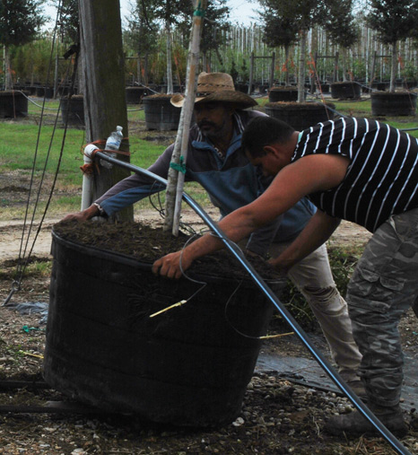 100 Gallons In Stock