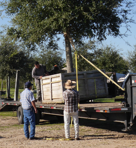 Capable, Knowledgable Staff